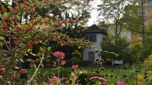 Blick auf die »Gartenzinne« hinter Beeren und Blüten